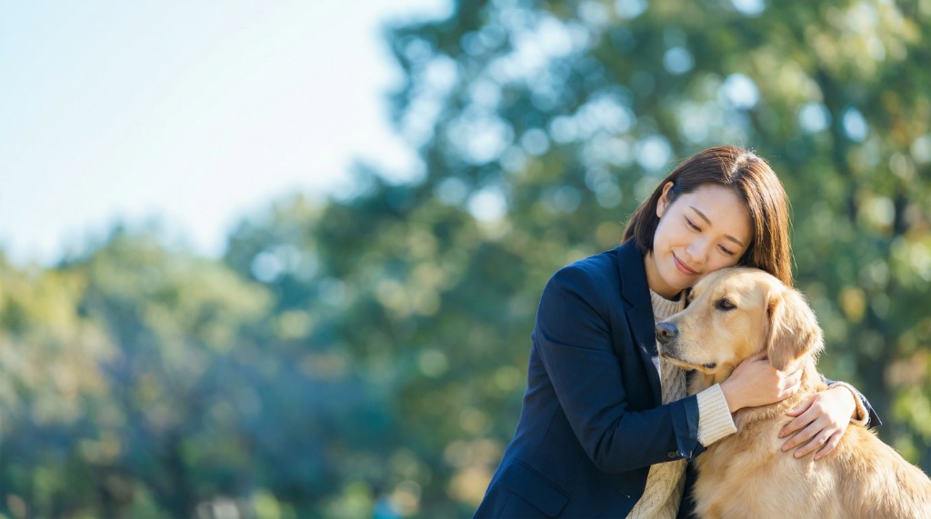 Mens en hond als team in de natuur — vertrouwen en verbinding